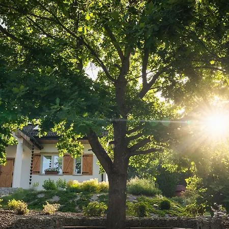 Modrzewiowe Zacisze Appartamento