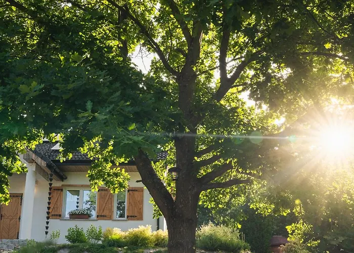 Modrzewiowe Zacisze Apartmán